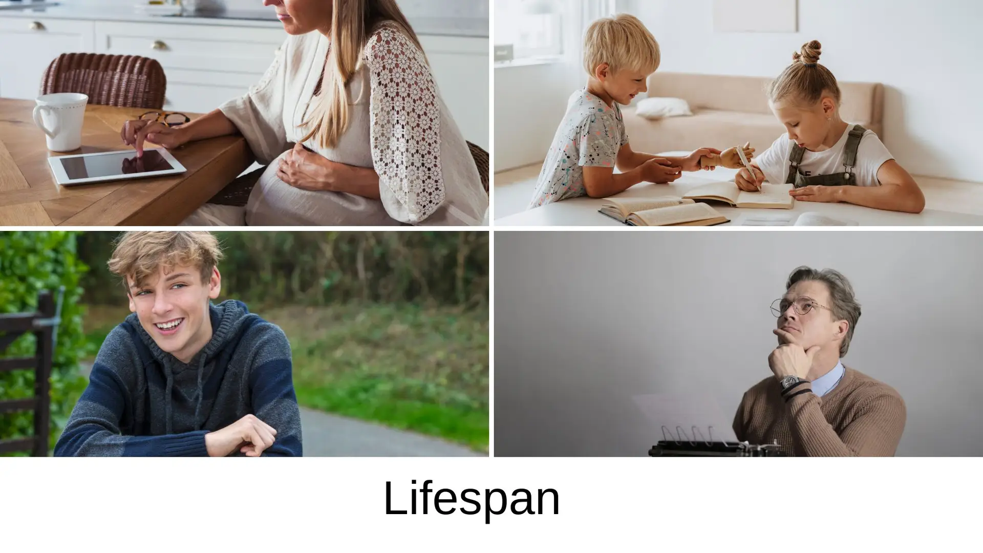 Lifespan