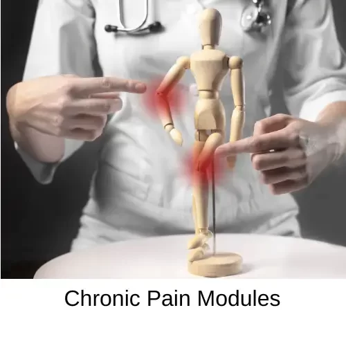 Chronic Pain Modules Chronic Pain Modules