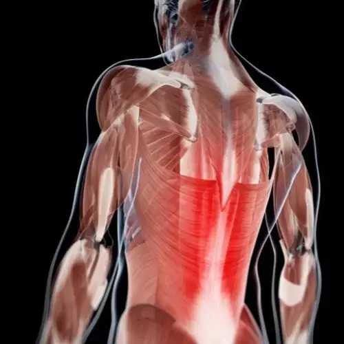 Hydrotherapy for Chronic Muscle Pain and Spasms Hydrotherapy for Chronic Muscle Pain and Spasms